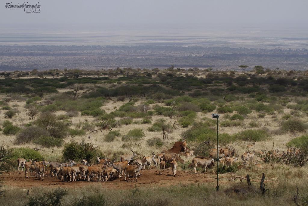 Elerai Camp Hotel Amboseli Luaran gambar
