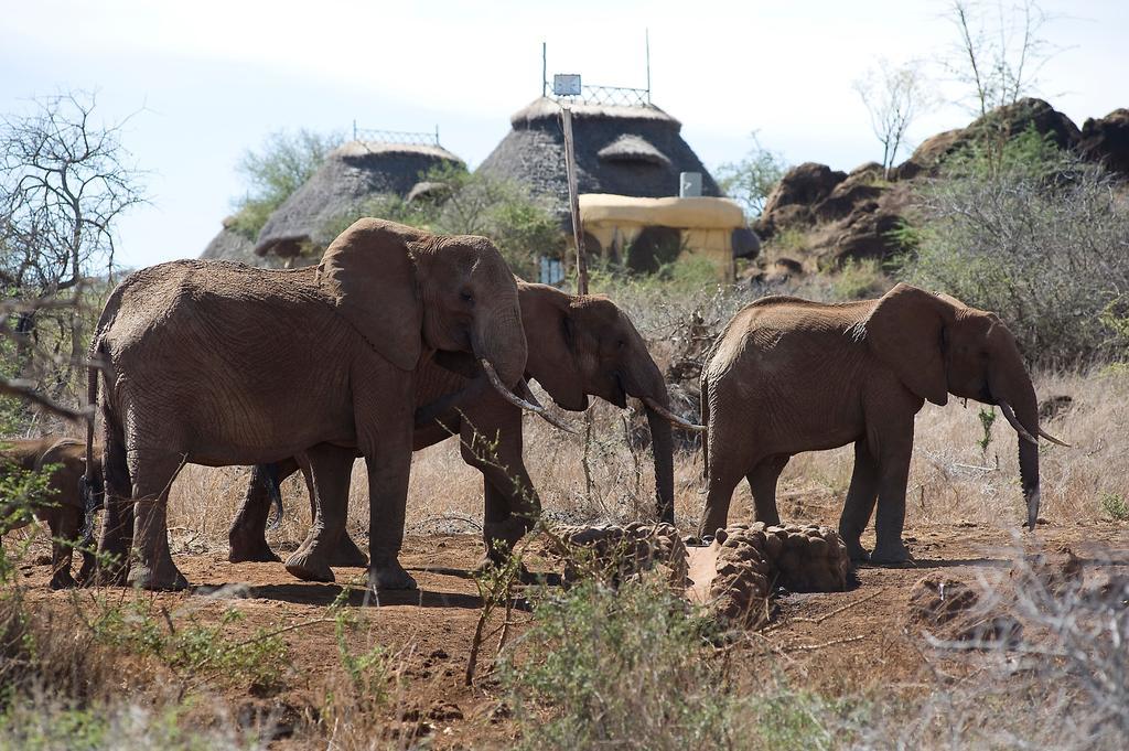 Elerai Camp Hotel Amboseli Bilik gambar