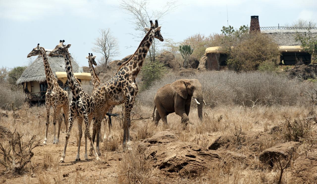 Elerai Camp Hotel Amboseli Luaran gambar