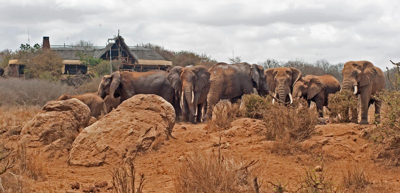 Elerai Camp Hotel Amboseli Luaran gambar
